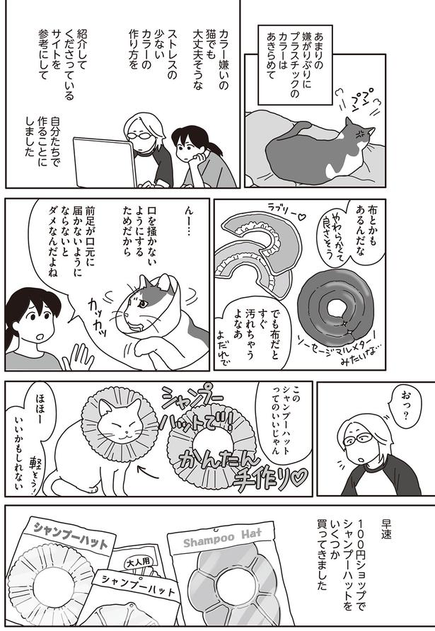 このシャンプーハットってのいいじゃん （C）ねこゆうこ／KADOKAWA