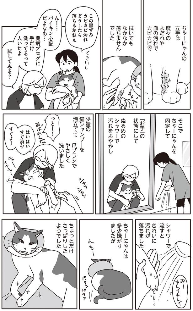 バイキン心配だよなあ… （C）ねこゆうこ／KADOKAWA