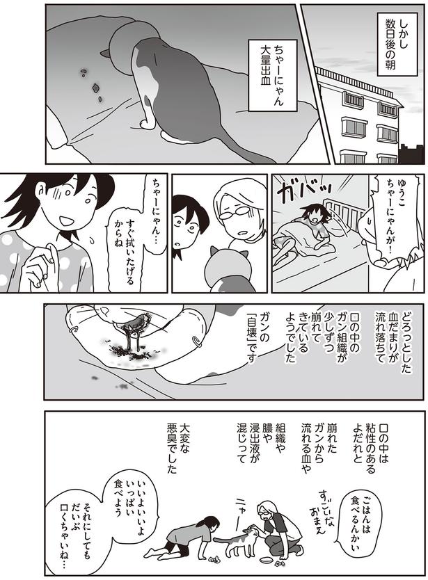 すぐ拭いたけるからね （C）ねこゆうこ／KADOKAWA