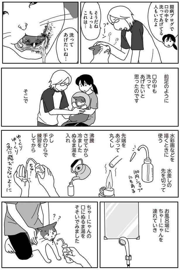 ちょっとこれは…洗ってあげたいね… （C）ねこゆうこ／KADOKAWA