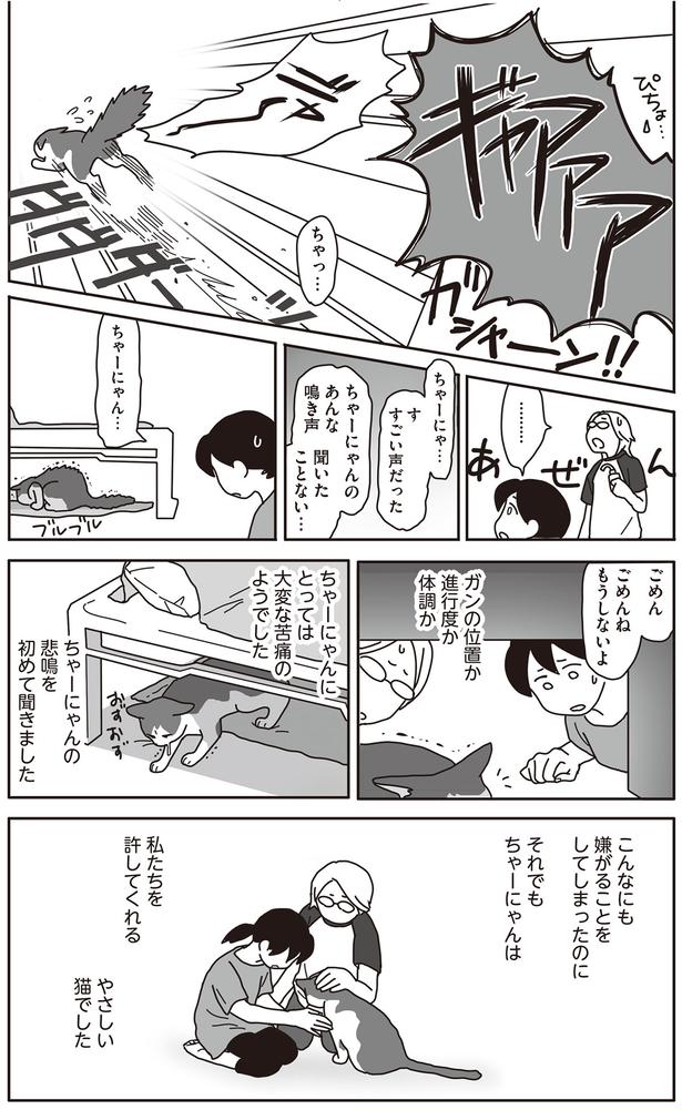 ごめん　ごめんね　もうしないよ （C）ねこゆうこ／KADOKAWA