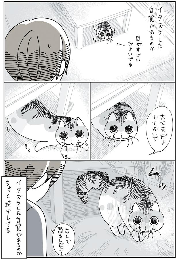 ちょっと逆ギレ