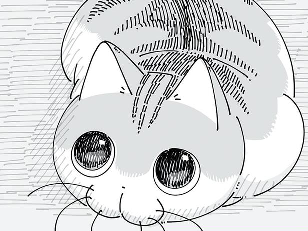 なんだか目が泳いでいる…？
