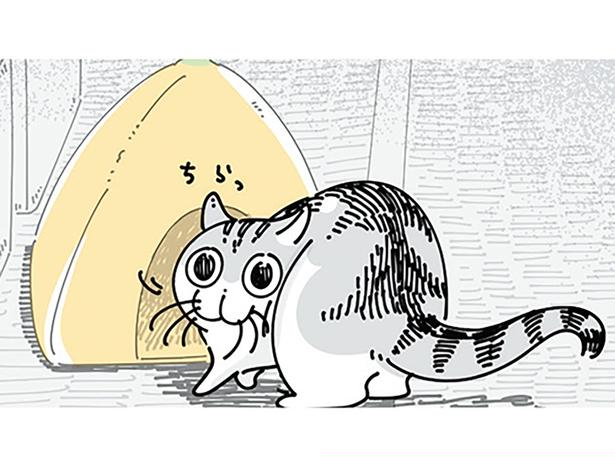 気に入ってもらえなかった猫用のベッドに… （C）キュルZ／KADOKAWA