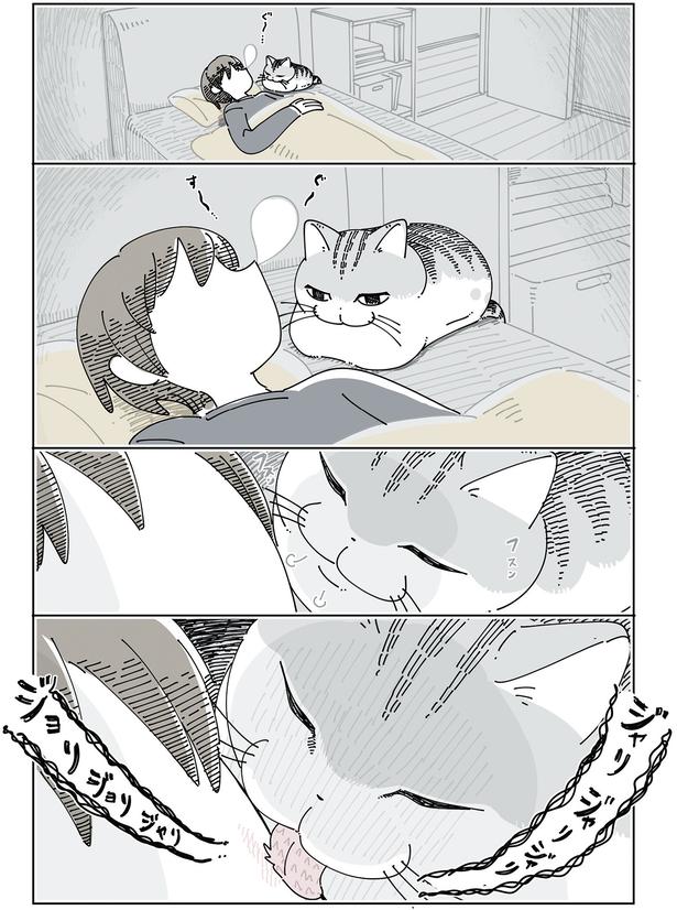就寝中に忍び寄り
