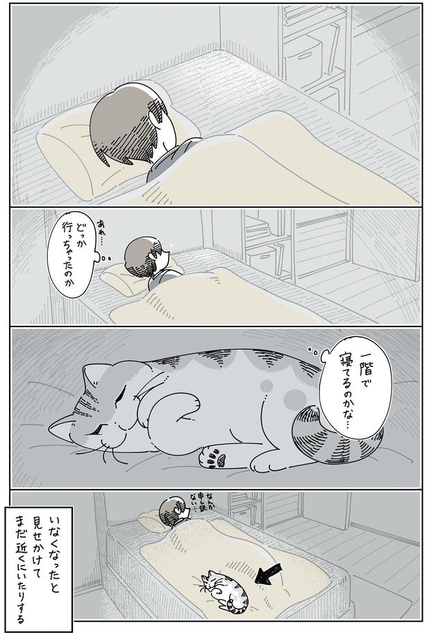 いなくなったと見せかけて