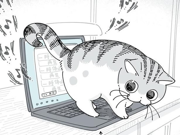 PCの上にいられると…