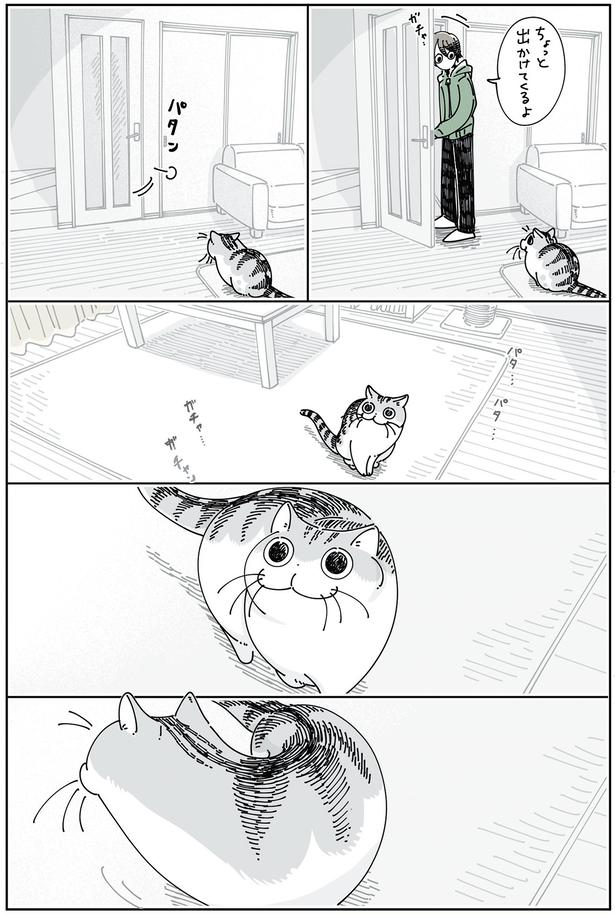 飼い主が出かけると