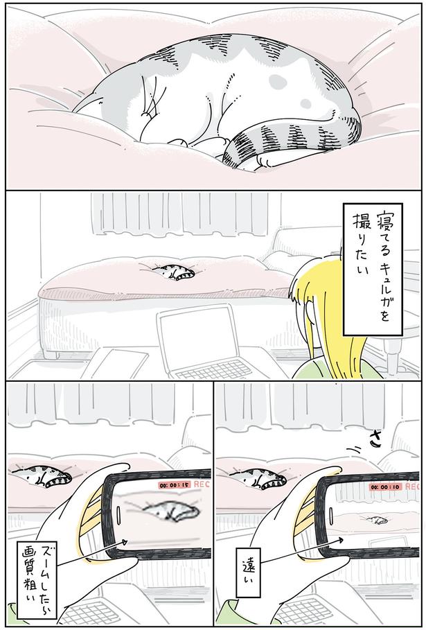 寝ている姿を撮りたい
