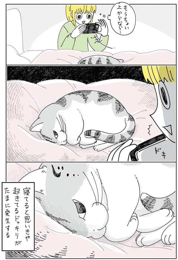 目が合って…