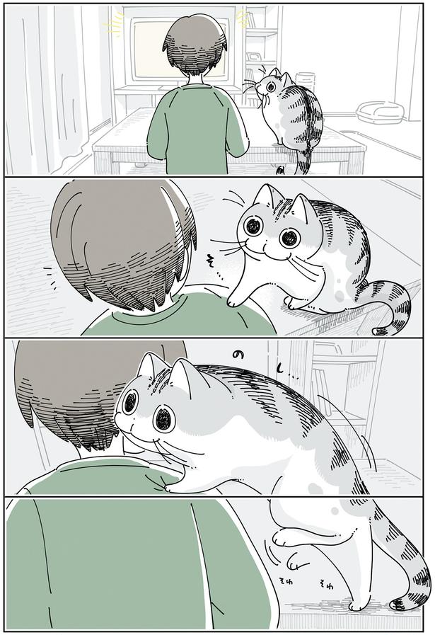 飼い主の肩に