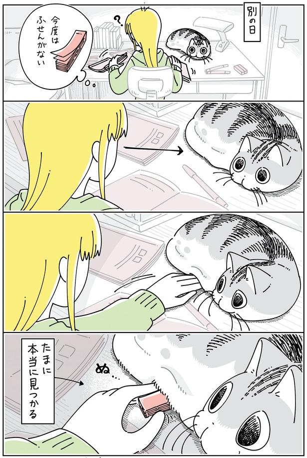 たまに本当に見つかる