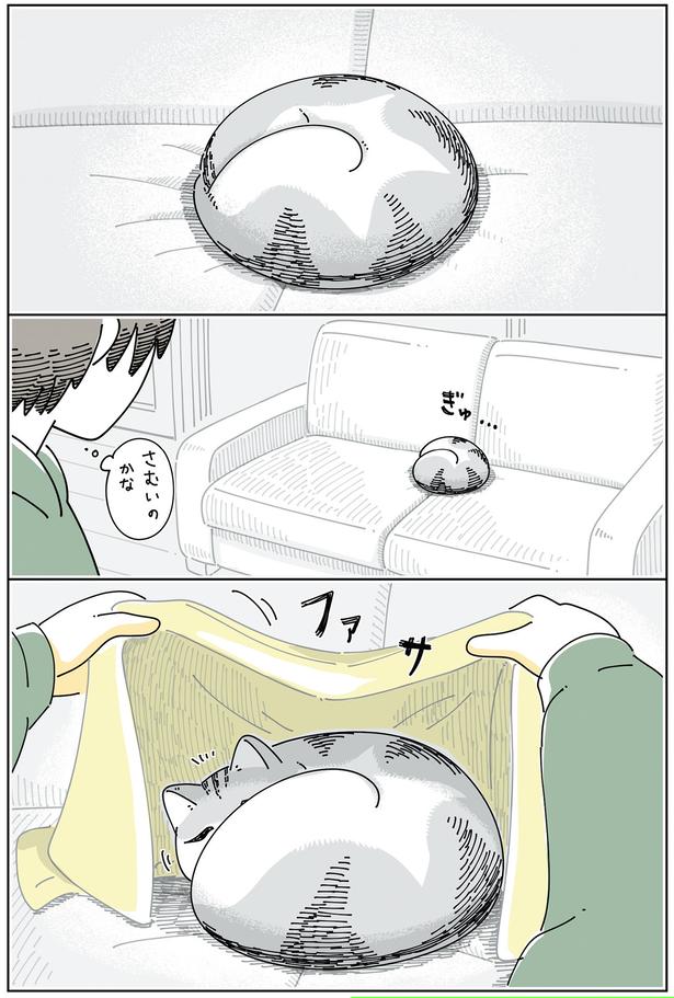 寒いのかな？