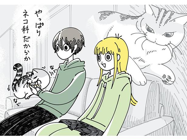 テレビで動物を見て思い浮かべるのは…