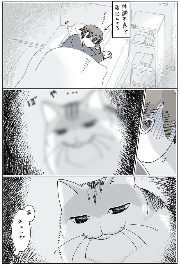 体調不良の飼い主の横に