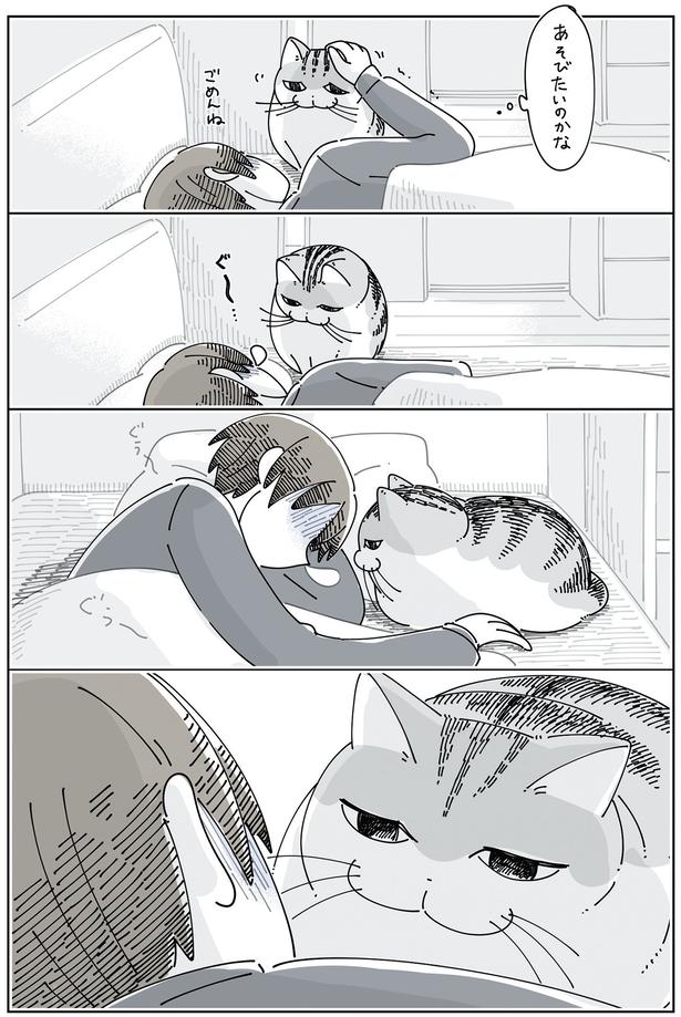 あそびたいのかな？