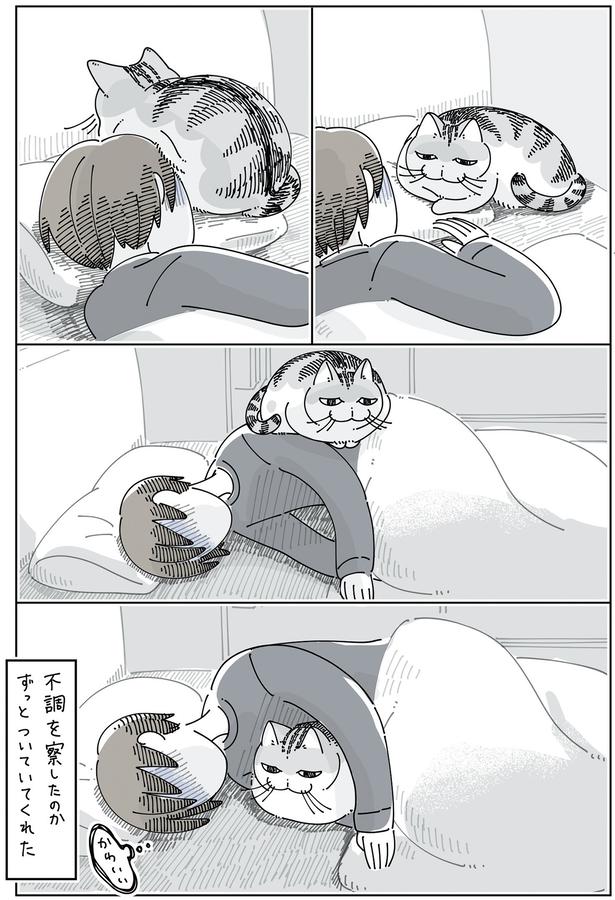 飼い主の不調を察してくれたのか