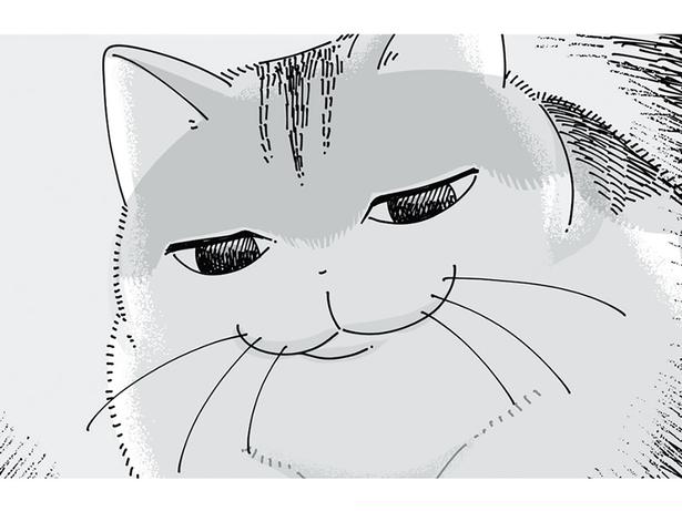 その顔はどういう感情？