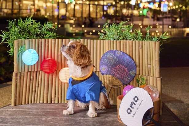 OMO7大阪 夏のフォトスポット