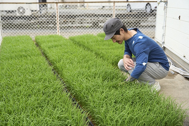 修業先の喫茶店で米作りも学び、現在は田んぼを継承。自家栽培の米粉加工も手掛ける