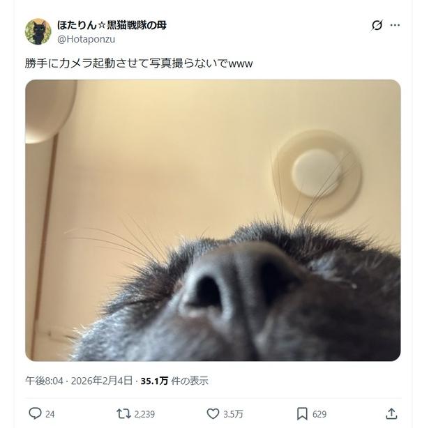 猫ちゃんの自撮り▶本当はもっと可愛いんです!笑(⇒次へ) ほたりん☆黒猫戦隊の母@HotaponzuさんのXより