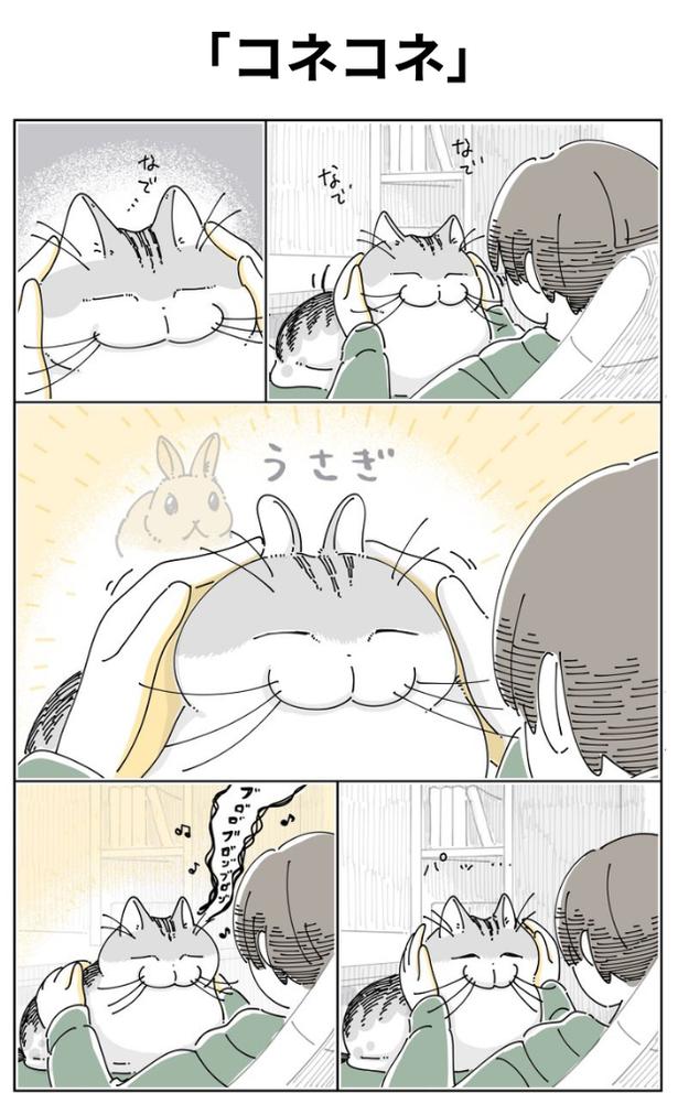 「コネコネ」01