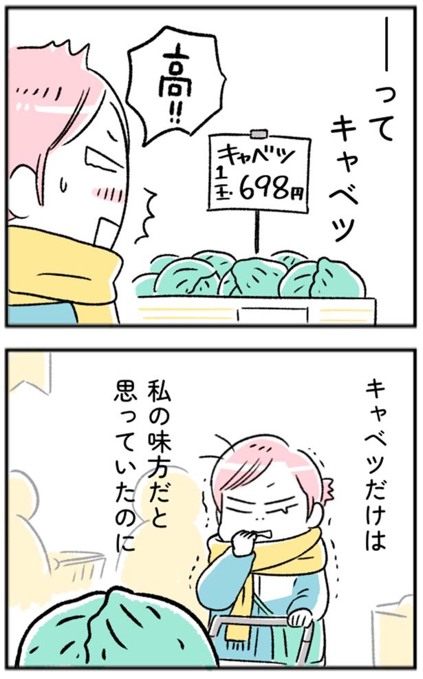 キャベツだけは私の味方だと思っていたのに