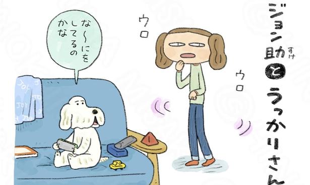 何をしにやってきたか忘れてしまったアル子と話しかける白い犬のジョン助