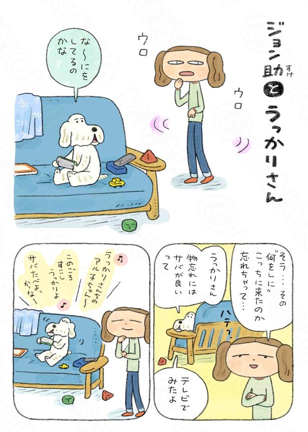 ちょい漫画『ジョン助とうっかりさん』(1／2)