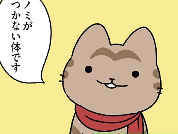 ノミがつかない体