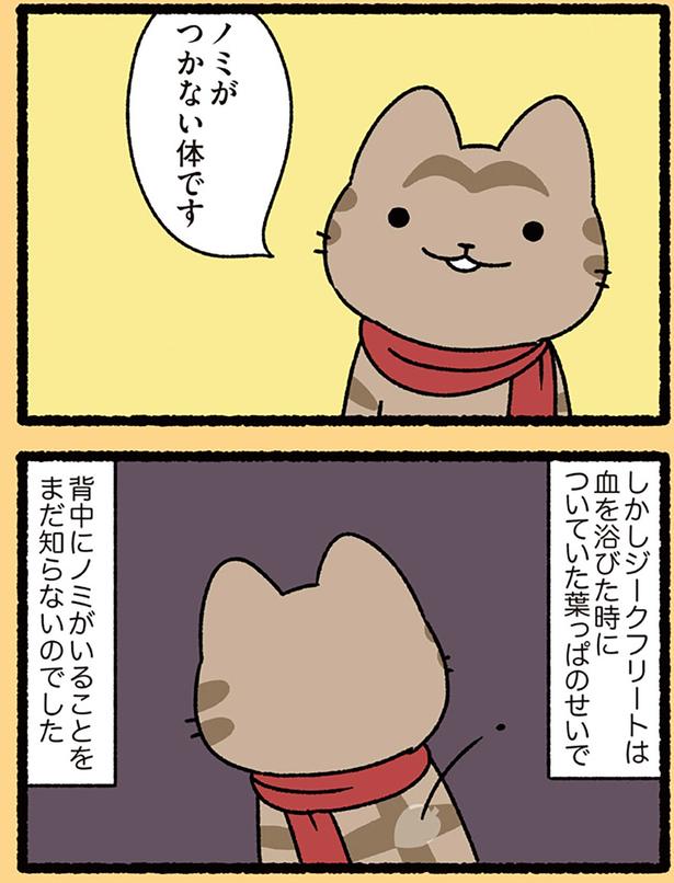 背中にノミが…
