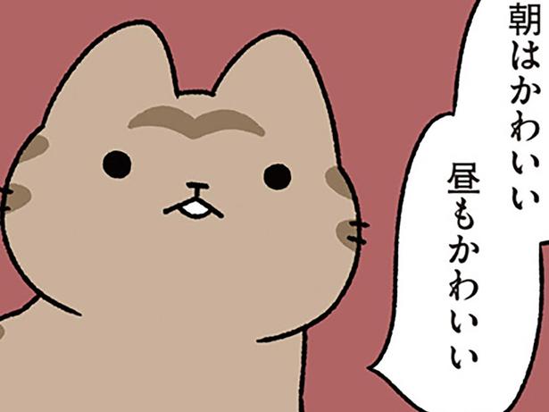 朝はかわいい昼もかわいい