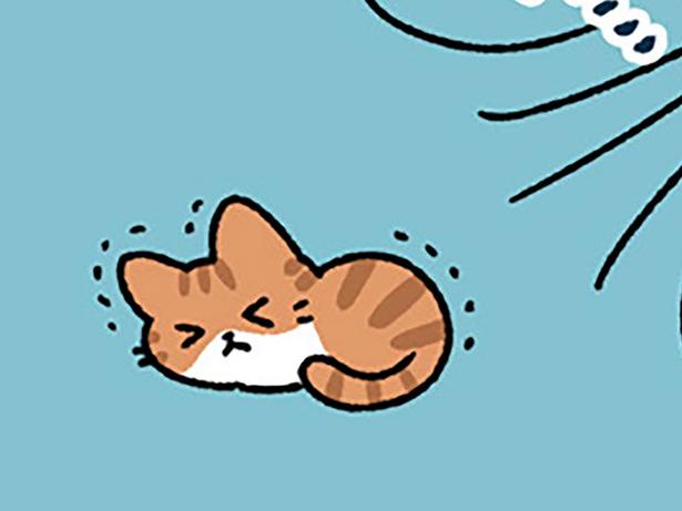 風が吹くと…