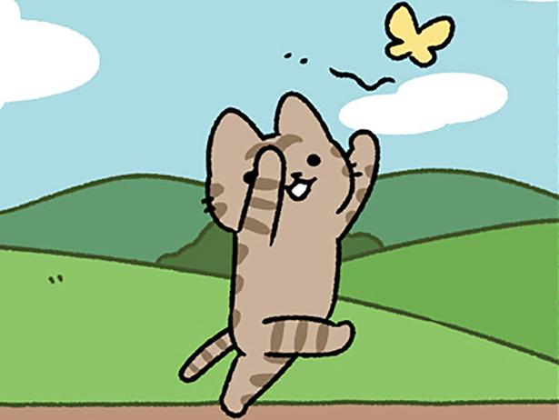 自由すぎるねこ