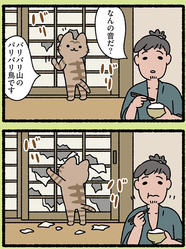 バリバリ山