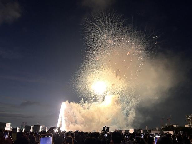 柴又街道沿い、鹿骨スポーツ広場や野球場がある篠崎公園B地区からも花火を鑑賞できる