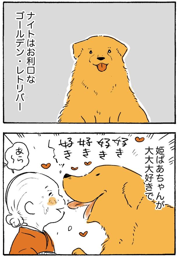 好き好き好き好き （C）佐倉イサミ／KADOKAWA