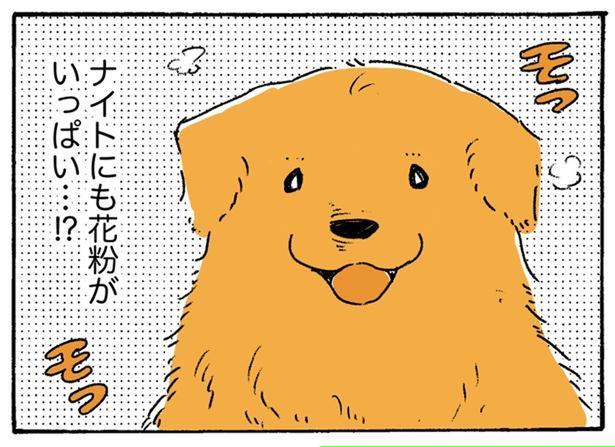 花粉がいっぱい…？