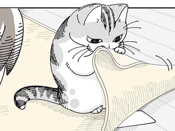 ぺらっ