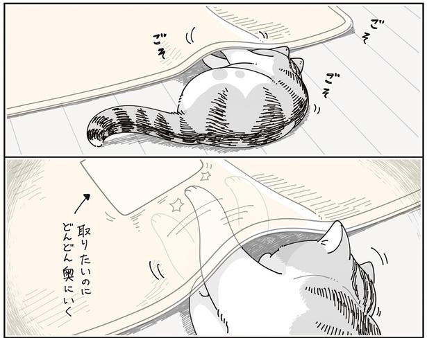 取りたいのに
