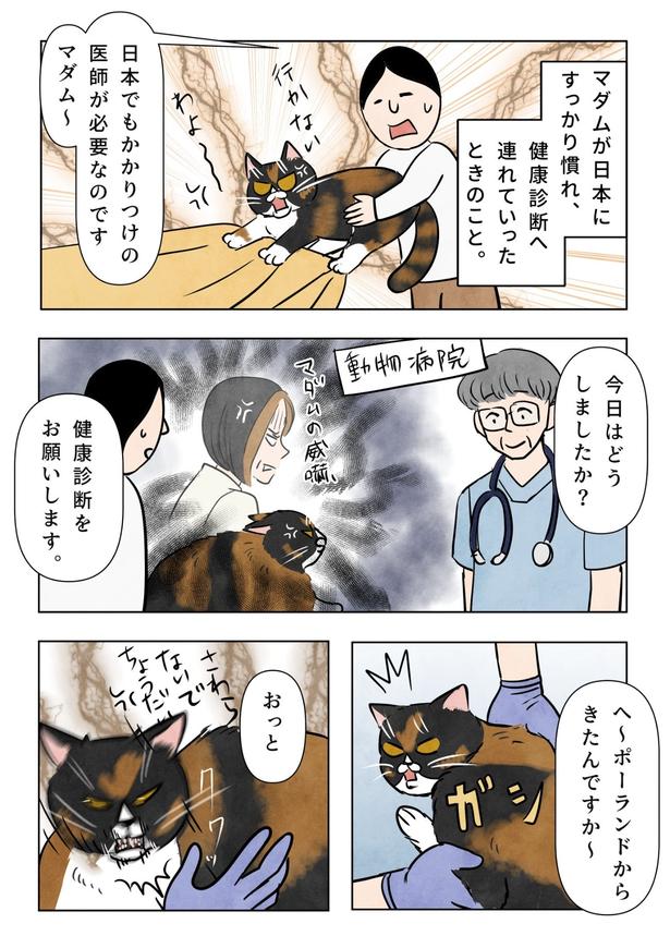 『マダム、日本でのかかりつけ医師を探す』(1／3)