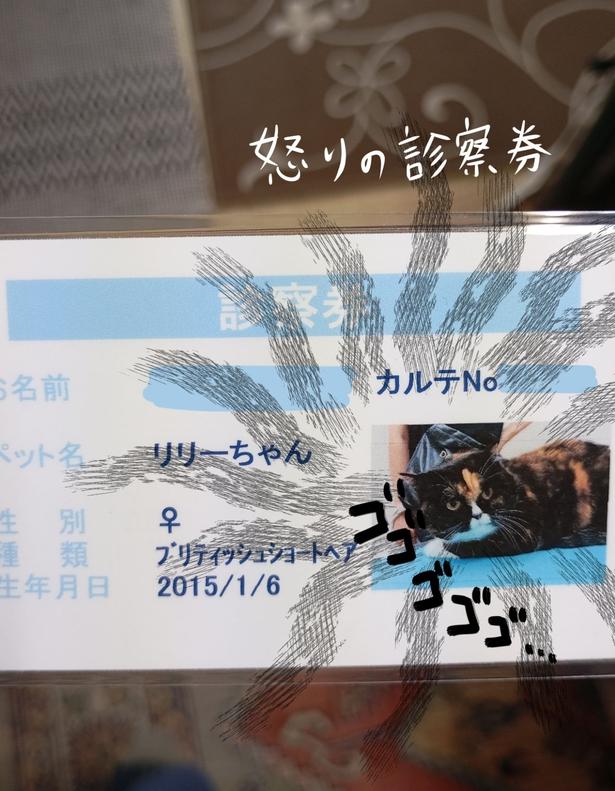 『マダム、日本でのかかりつけ医師を探す』(3／3)