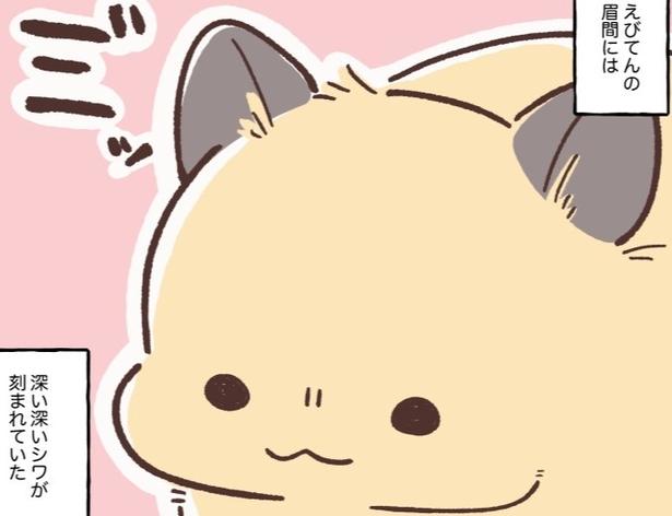 飼い主の東京出張で不機嫌になるハムスターのえびてん