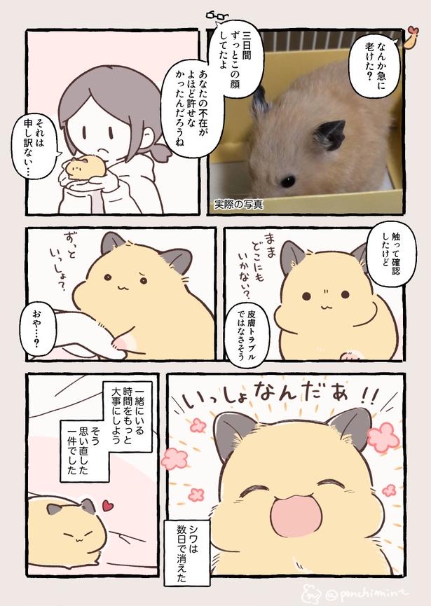 『さみしがりハムスターと2泊3日離れたら大変なことになった話』(2／2)