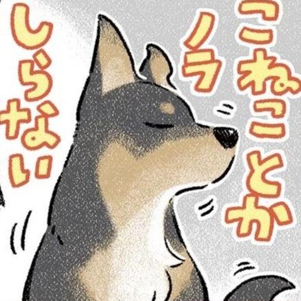 自分が拾ってきたのに知らんぷり!? 画像提供:(C)ヨシモフ郎/KADOKAWA