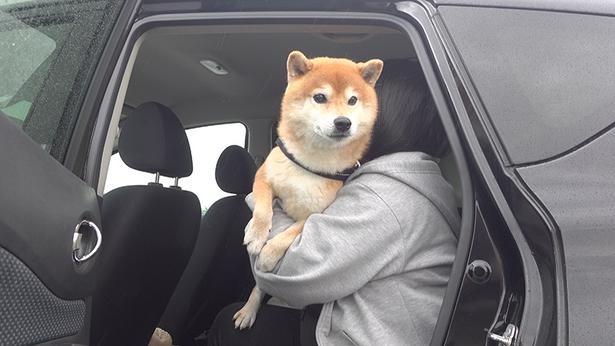 今度は車でお散歩へ！