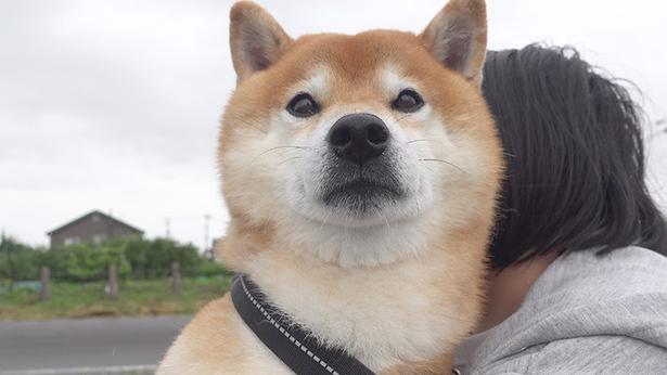 この日2回目の散歩にワクワク