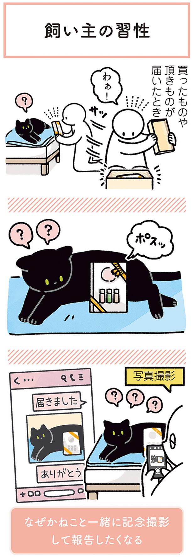 写真撮影