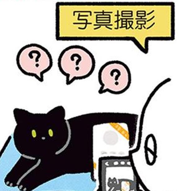 ねこと写真撮影