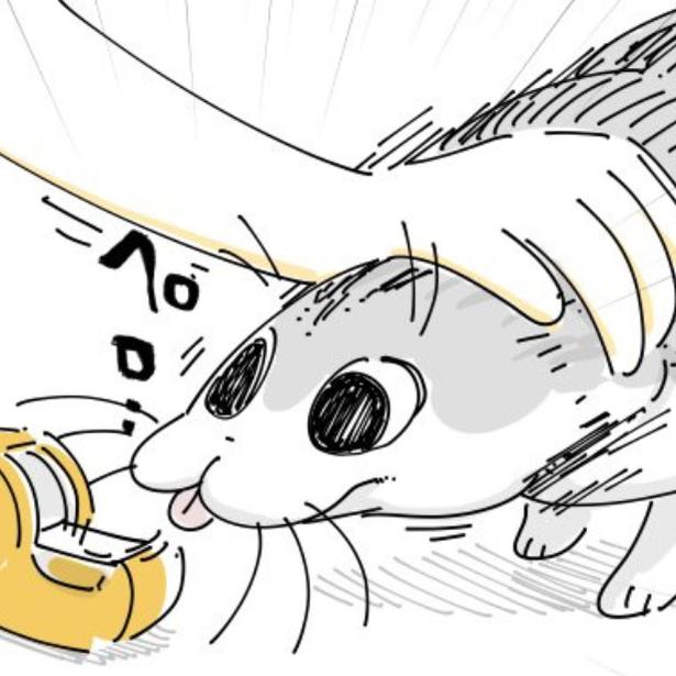 セロテープで遊ぼうとする猫